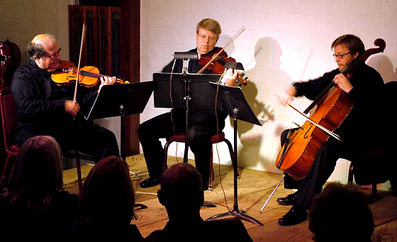 The Langroise Trio at the Martin